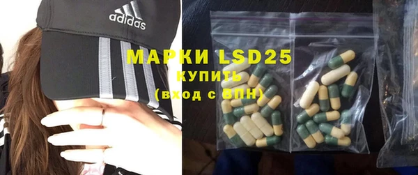 гашик Вяземский