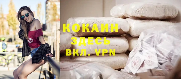 гашик Вяземский