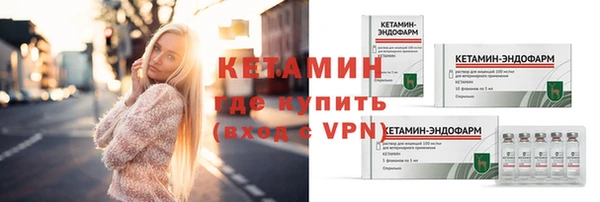 гашик Вяземский