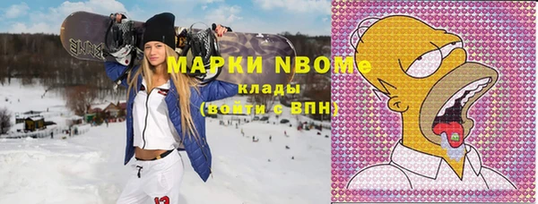 гашик Вяземский
