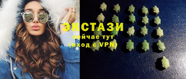 гашик Вяземский