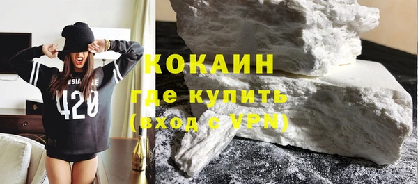 гашик Вяземский