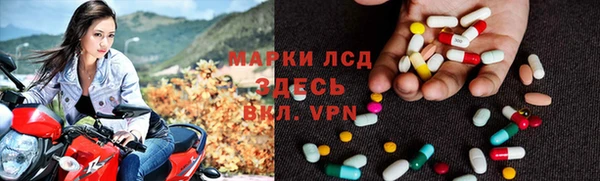 гашик Вяземский