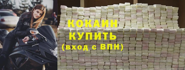 гашик Вяземский