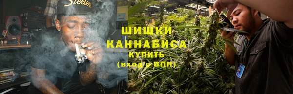 гашик Вяземский