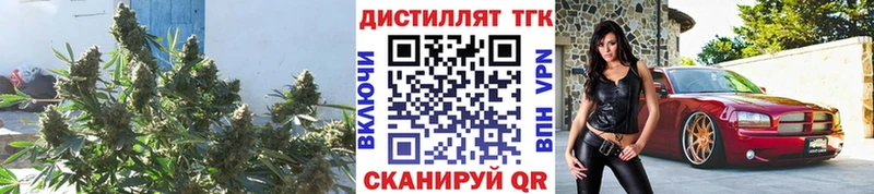 ТГК вейп  Махачкала 