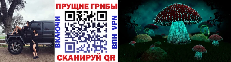 Галлюциногенные грибы GOLDEN TEACHER  Махачкала 